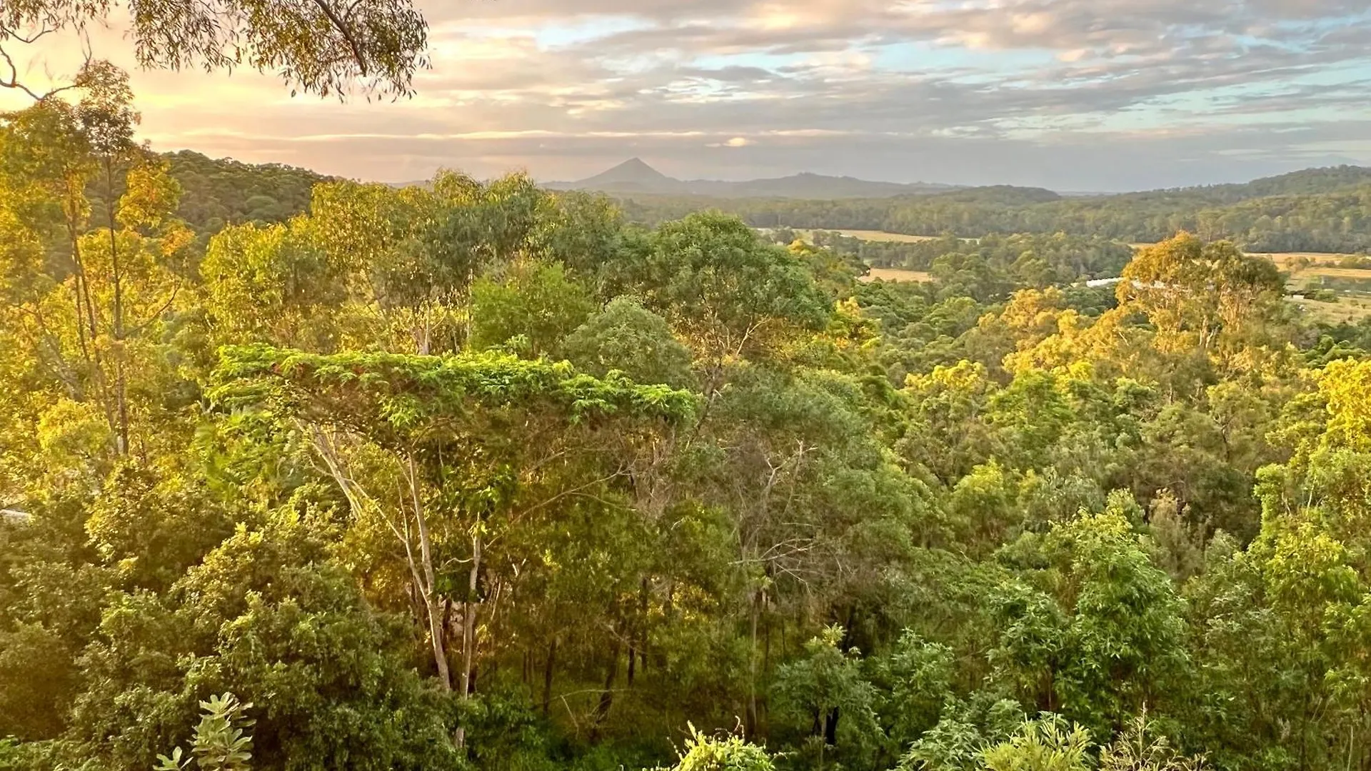 Hinterland Dreamers Poolside Retreat Yandina Creek 0*,  Australia